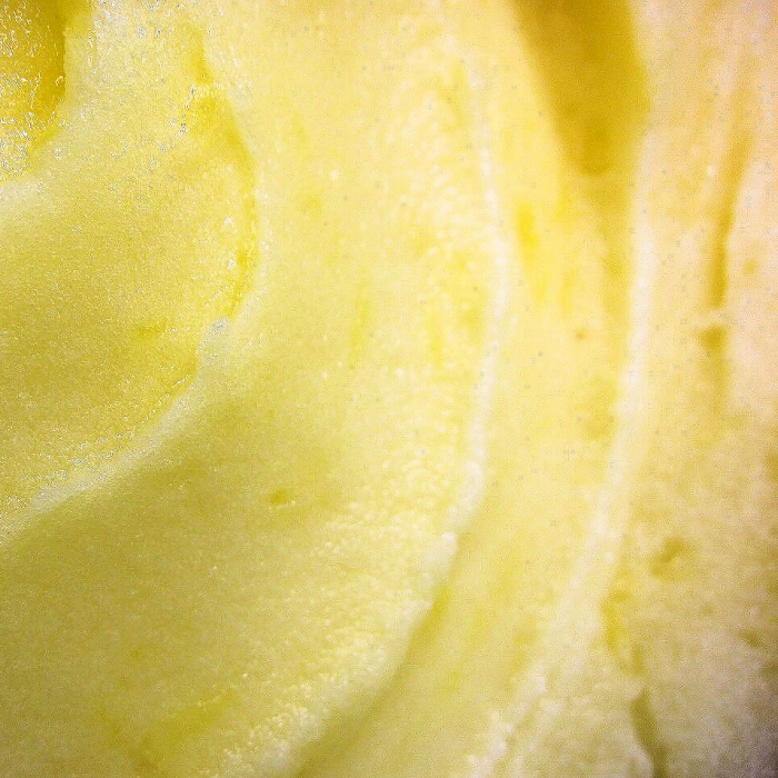 オレンジ シャーベット6個セット | ジェラート トリノ